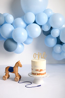Nolan's One Year Portraits and Cake Smash