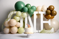 Sebastian's One Year Portraits and Cake Smash
