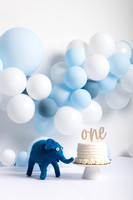 Hudson's One Year Portraits and Cake Smash