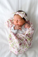 June 5, 2026 Ava Rose