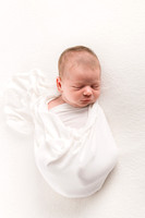 Charlotte's Newborn Portraits